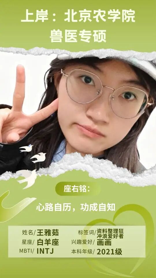 红桃视频