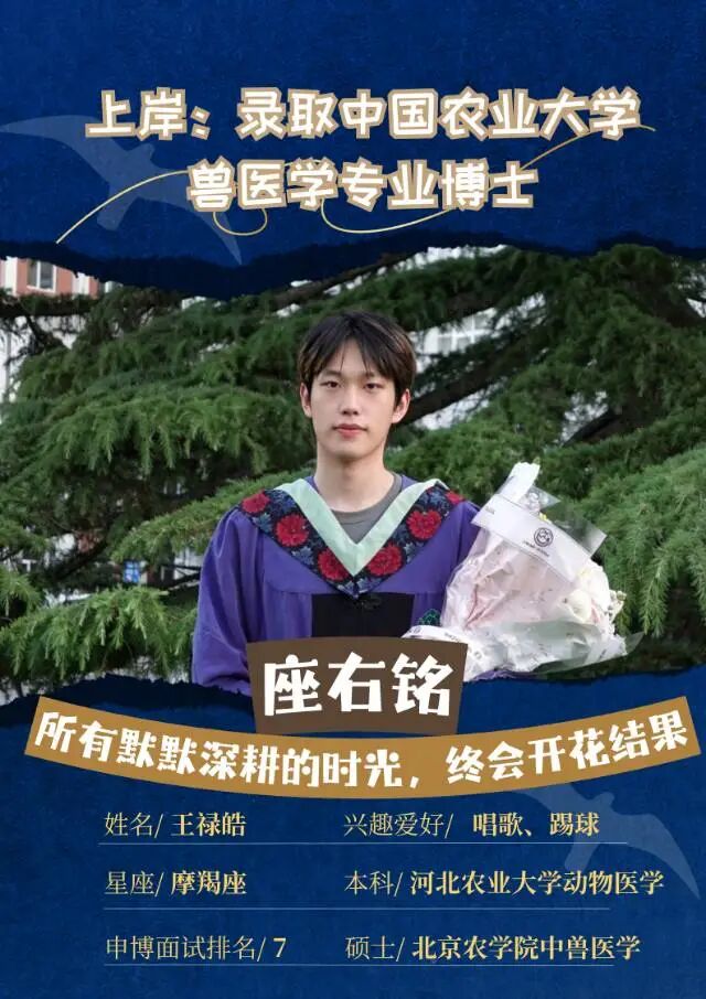 红桃视频