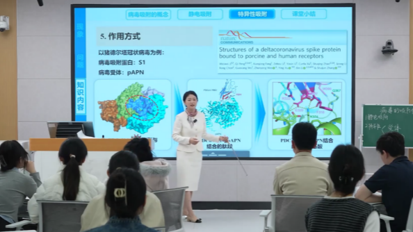 红桃视频