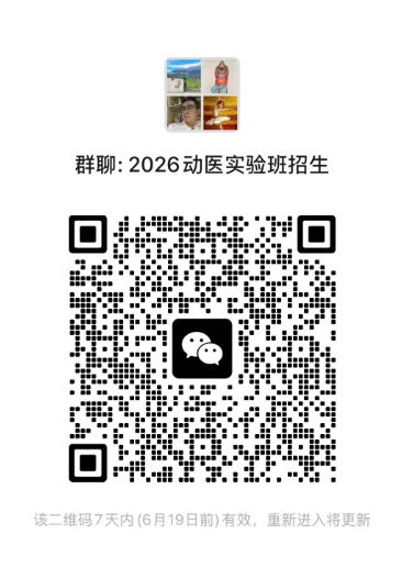 红桃视频