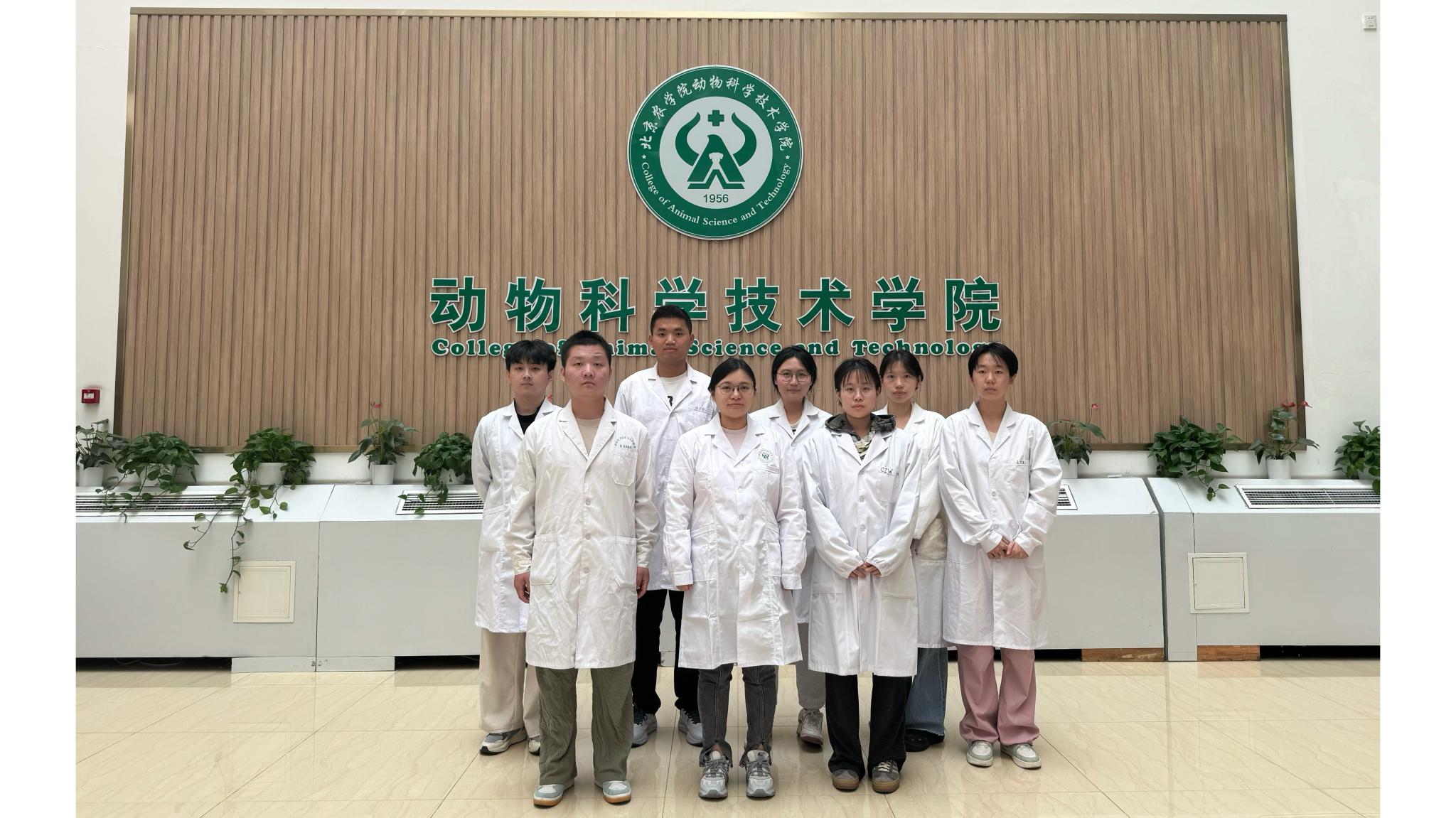 红桃视频