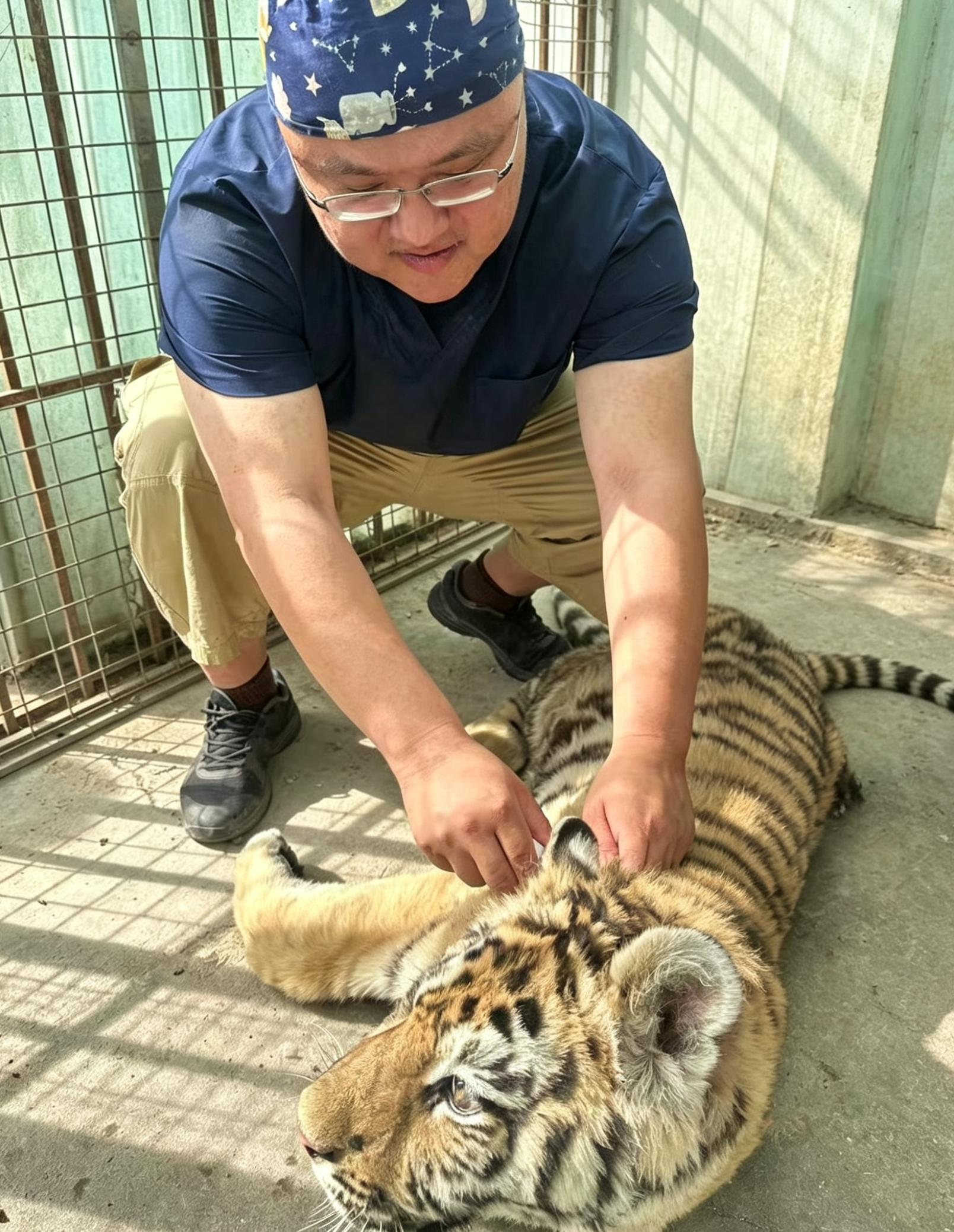 红桃视频