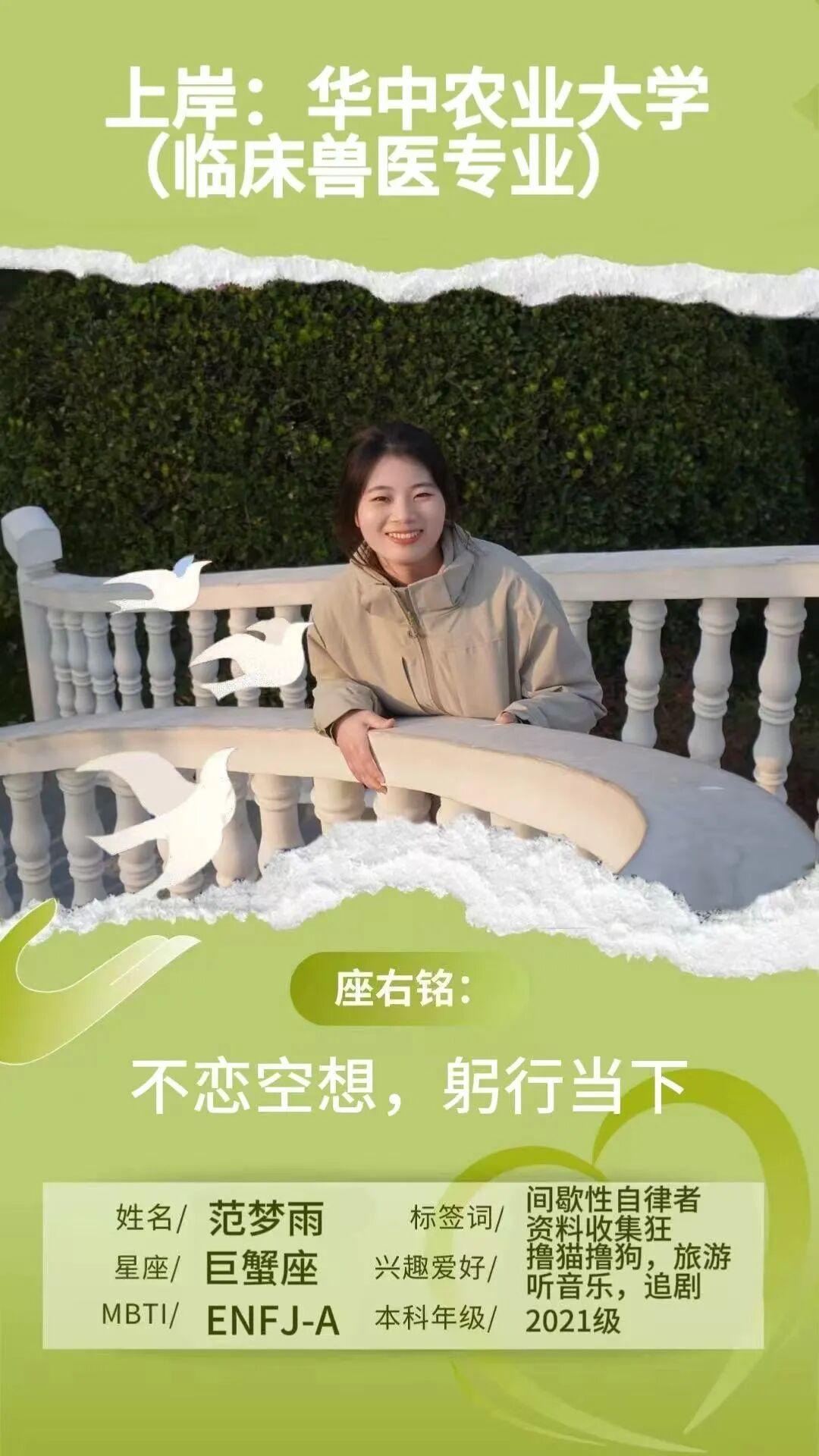 红桃视频